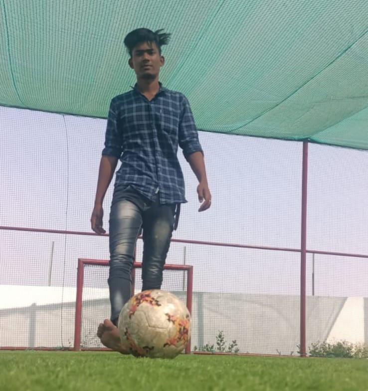 Pleated Mosquito Net